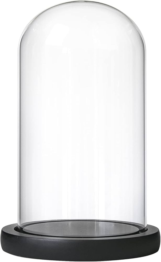 Ivolador 7" x 4" Glass Display Cloche Dome with Solid Wood Black Base Large Size Office Home Deco... | Amazon (US)