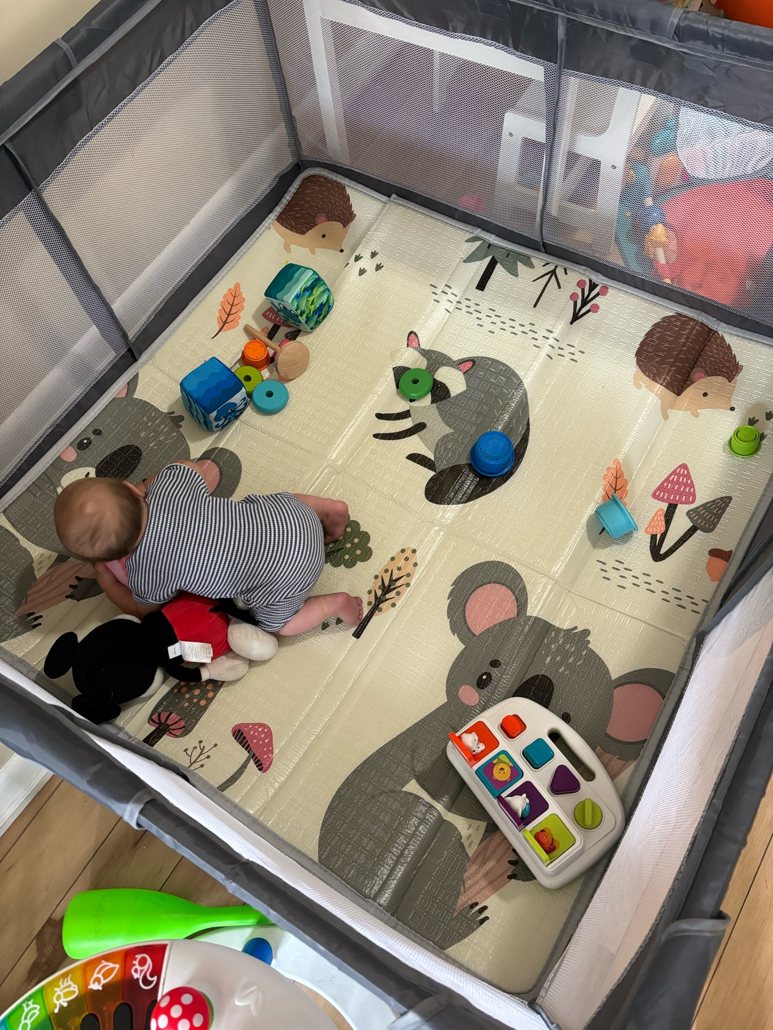 Cute foam playmat for baby play fence 

#LTKFindsUnder50 #LTKBaby #LTKKids