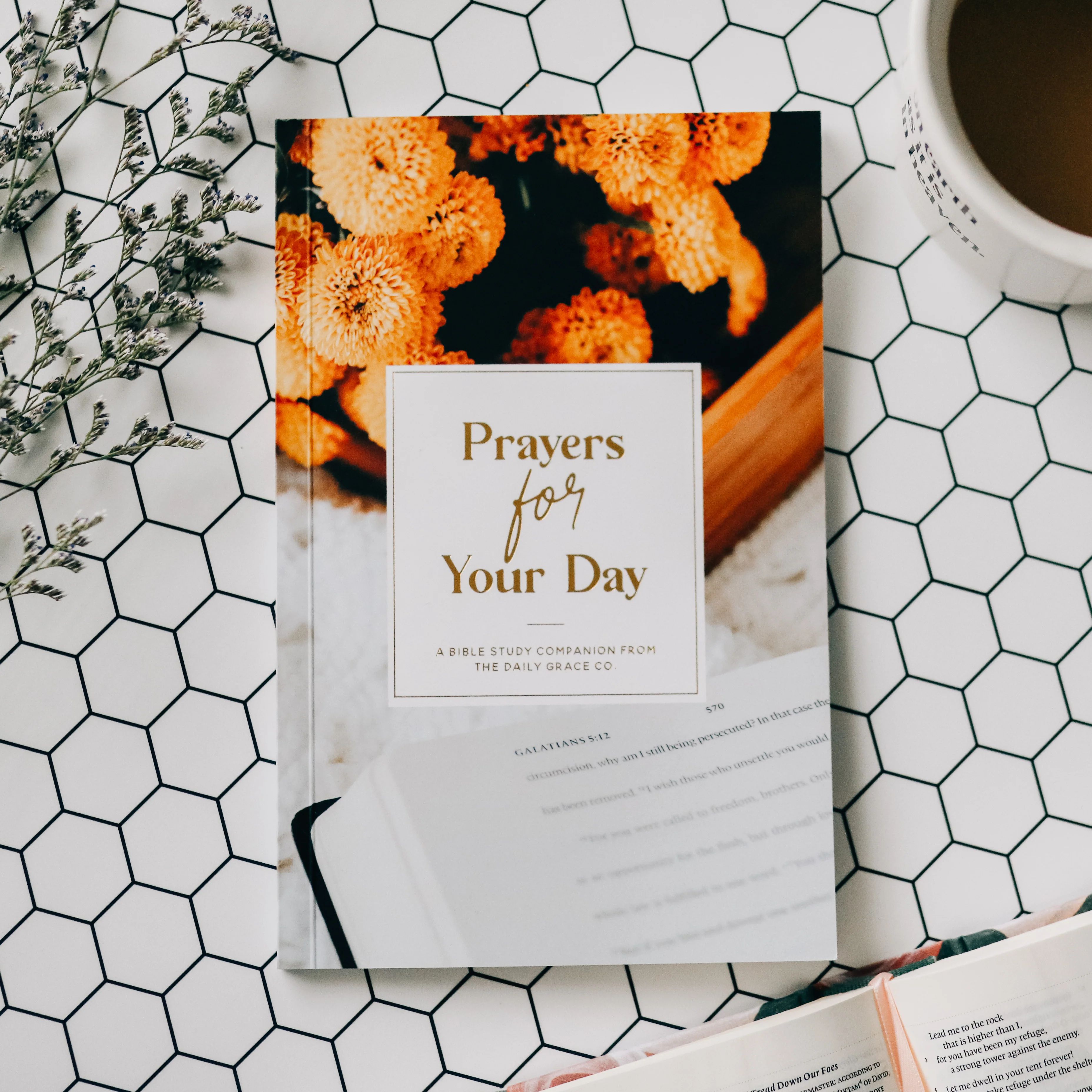 Prayers for Your Day | The Daily Grace Co.