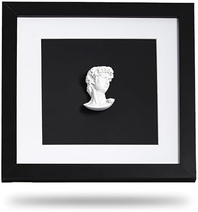 9×9" Modern Luxury David Frame Art Decor – Minimalist Resin Bust in Black and White Shadow Box... | Amazon (US)