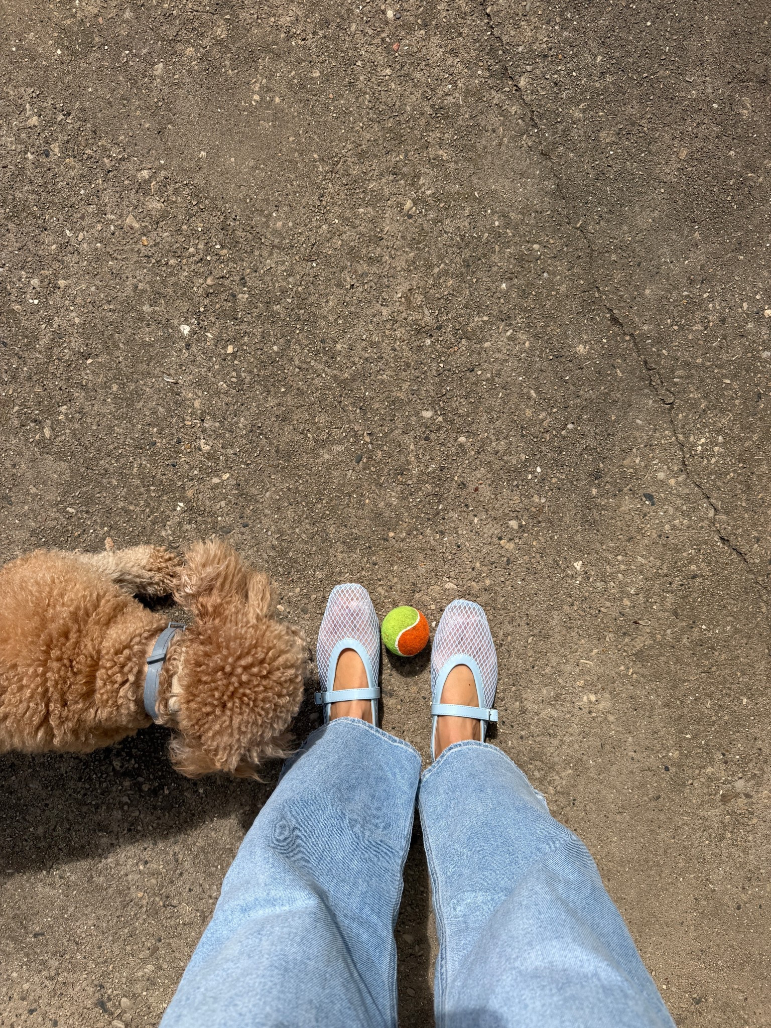 The CUTEST light blue mesh ballet flats from @DSW!!!! 🩵🫐🦋

size 8.5 for me and they fit perfectly

20% Off with code FLOWERS

*linking up a bunch of other ballet flat options from @DSW too — lots of cuuuute options for spring 🌸🌷🌼🍃☀️

sring footwear, spring deals, DSW finds, DSW shoes, DSW flats, DSW ballet flats, mary jane sandals, DSW deals, light blue shoes, baby blue shoes, trending footwear

#LTKSaleAlert #LTKSeasonal #LTKootd