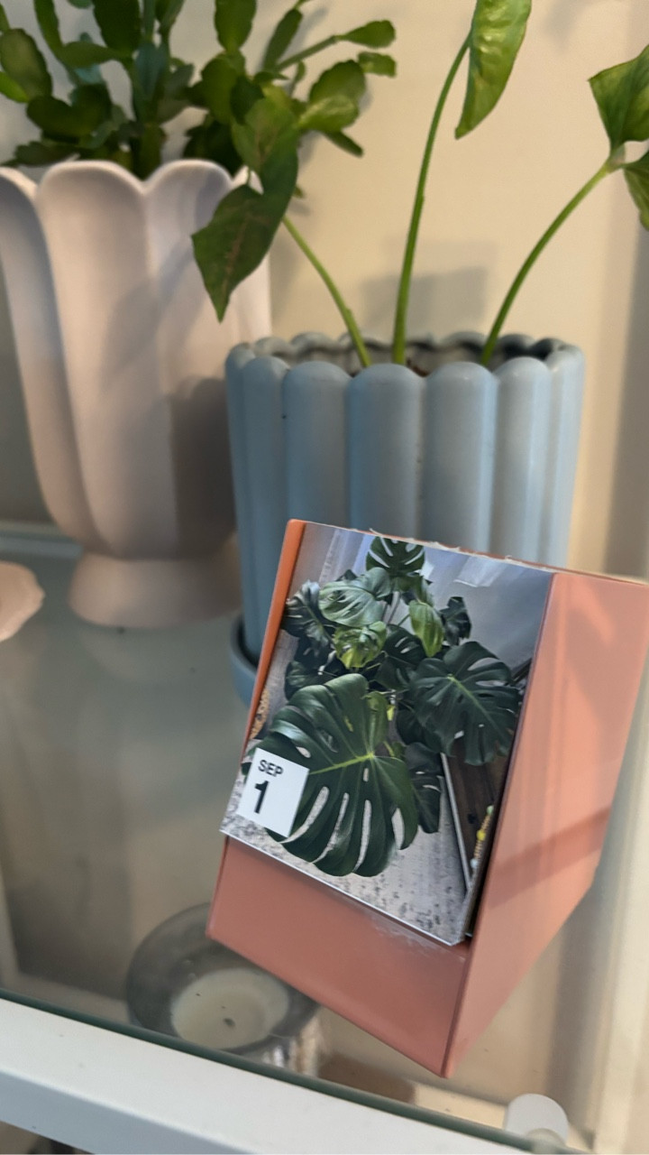 I’m not surprised that this calendar has gone viral every year! This is the daily calendar from @socialprintstudio and I am in love! As someone who loves photos, I couldn’t think of a better gift! You get to pick 365 of your favorite memories and each day you turn to a new photo. They also have different color options for their base, I picked Peach Fizz for a fun pop of color. I can’t wait to add this to my desk! 🥰
•
•
•
#dailycalendar #dailyphotocalendar #socialprintstudio #photos #socialprint #daily #calendar #prints #monstera #giftguide #memories #giftideas #raleighnc #plantmom #plants #desk #deskaccessories #gifted #giftshop #makingmemories #reels 

#LTKStyleTip #LTKWorkwear #LTKHome