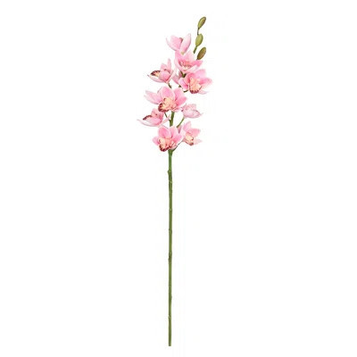 Orchid Stems | Wayfair North America