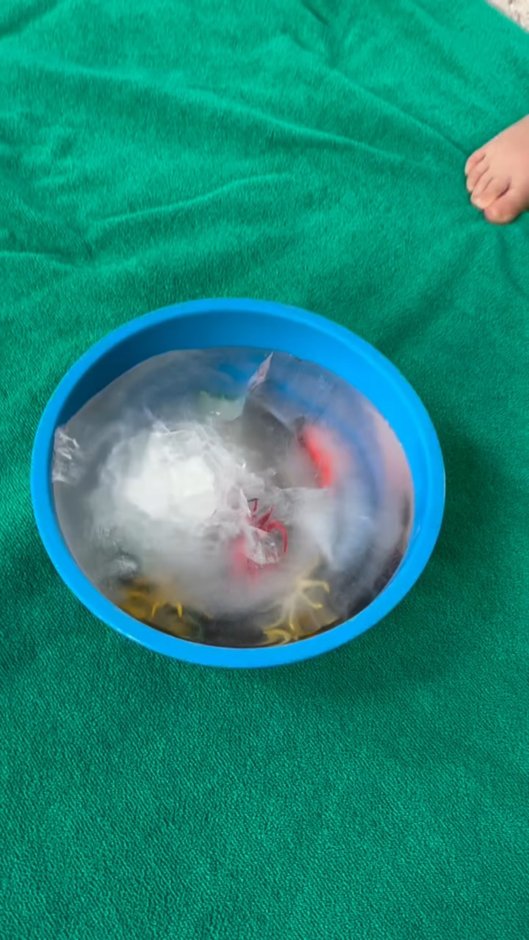 Anyone else on day 5+ of a crazy heat wave?! 😅🫠 We’re trying to stay cool over here and have actually done this activity twice this week because it was such a hit (and easy prep lol) with our toddler!

All you need are some small figurines of whatever your toddler is into- animals, little people, cars, or more- and freeze them! Then bring out some tools to “rescue” their toys- we need warm water with spray bottles, squeeze bottles, eye droppers, and also used her hammer and both times she played with this for over 30 mins 🧊☀️🔨

Comment HOT and I’ll send you the links directly to what tools and animals we used! Follow @googsreviews for more summer ideas 🤭

#toddlermom #momlife #toddleractivities #parenting #toddlerlife #ot #occupationaltherapy #finemotorskills #sensory #seneoryplay #waterplay #play #summer #summeractivities #toddlerfun #sensoryactivity