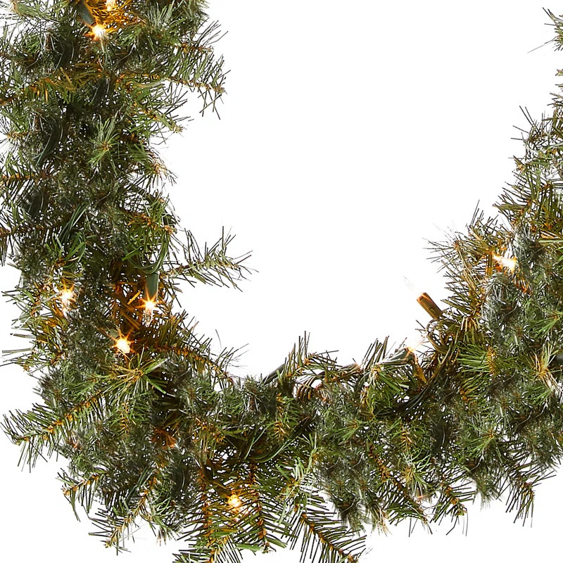 Norwood Fir Garland with Clear Lights | Wayfair North America