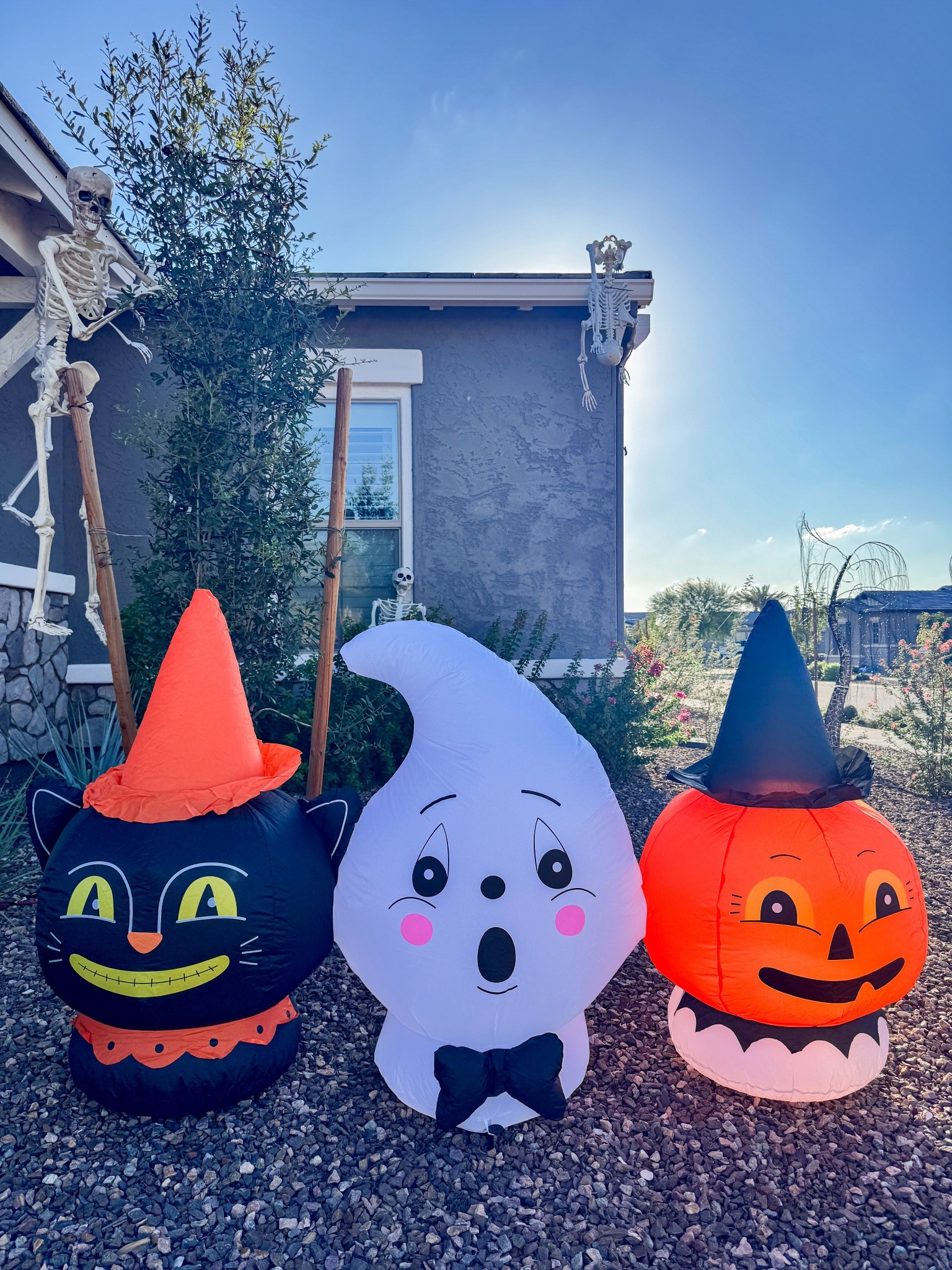 Adorable vintage vibes Halloween blow up! It’s 6ft across and almost sold out! 

#LTKHome #LTKHalloween #LTKSeasonal