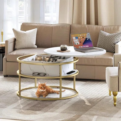 Peyter Frame Coffee Table with Storage | Wayfair North America