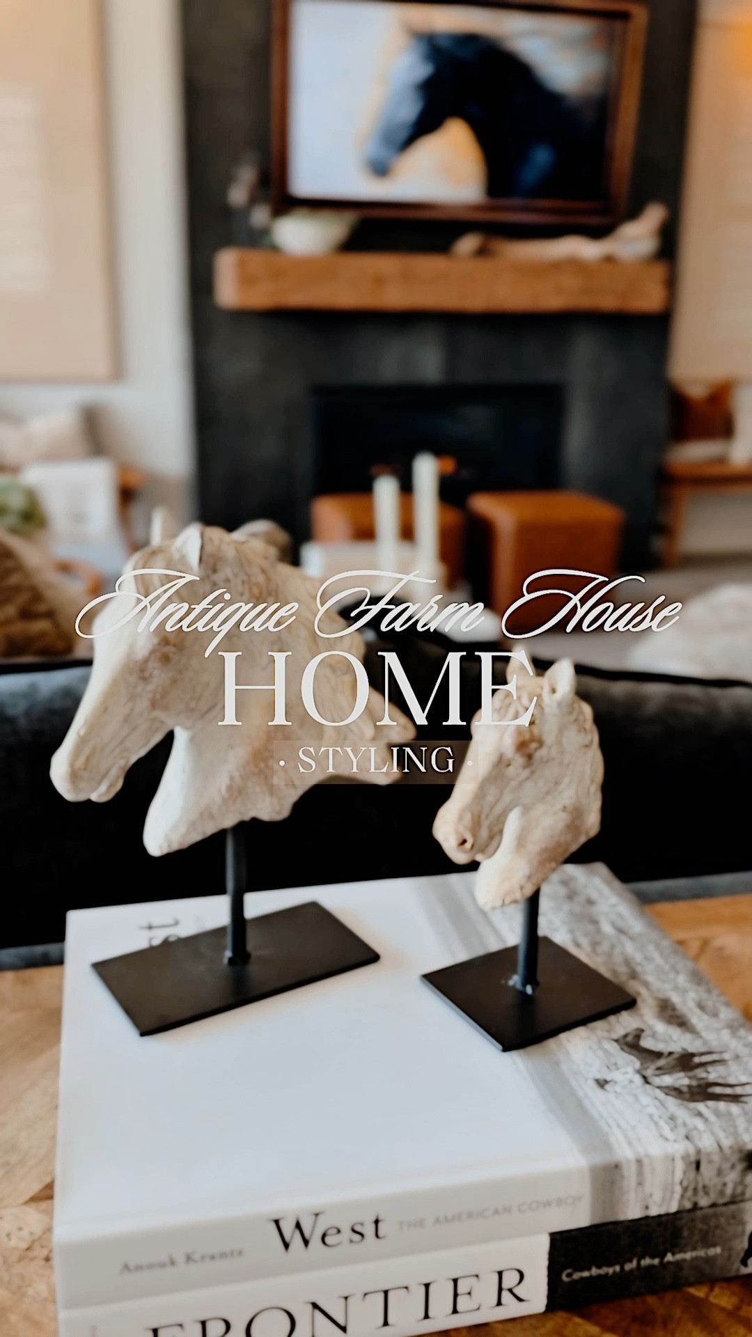 🦂☀️🤎🌵🐎

#LTKHome #LTKSeasonal