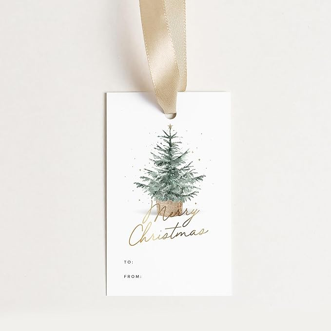 ThreeKin Pack of 50 Tags, 2 x 3 Rectangle Tag with Pre-Punched Hole, Perfect Hanging Tags, Events... | Amazon (US)