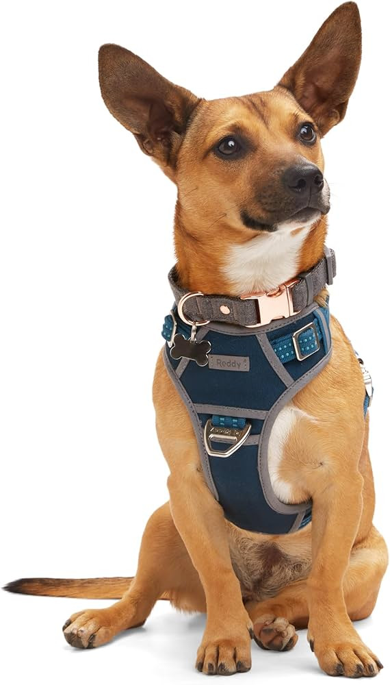 Reddy Canvas Dog Harness Navy Medium | Amazon (US)