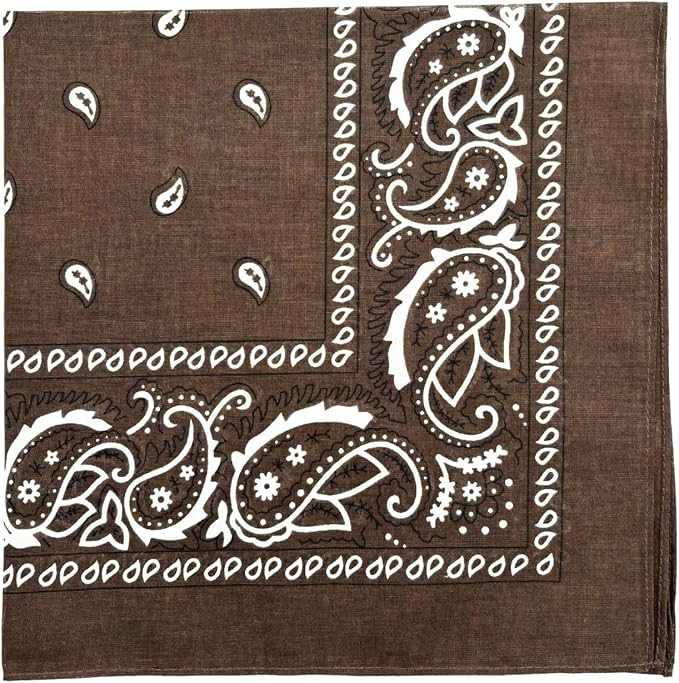 MDSTYLE 100% Cotton Bandana for Men & Women 22" x 22" Paisley Pattern Handkerchief Headband Scarf | Amazon (US)