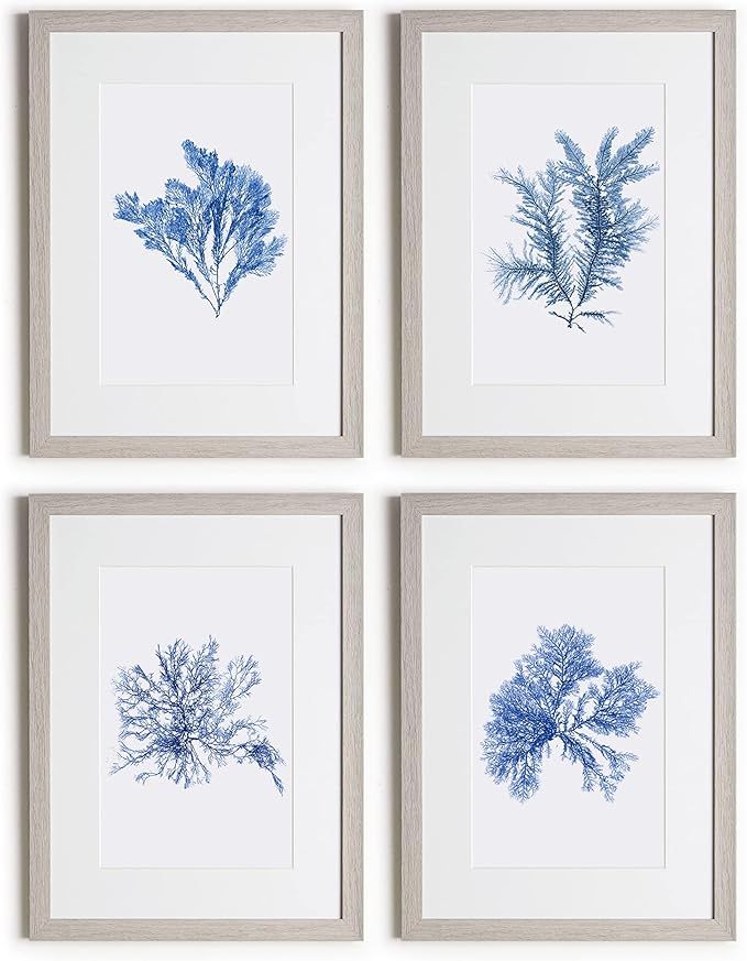 Framed Blue Coral Wall Art Set - 4 Pieces, 12x16 Inches, Coral Clipart in Blue Hues with Acrylic ... | Amazon (US)