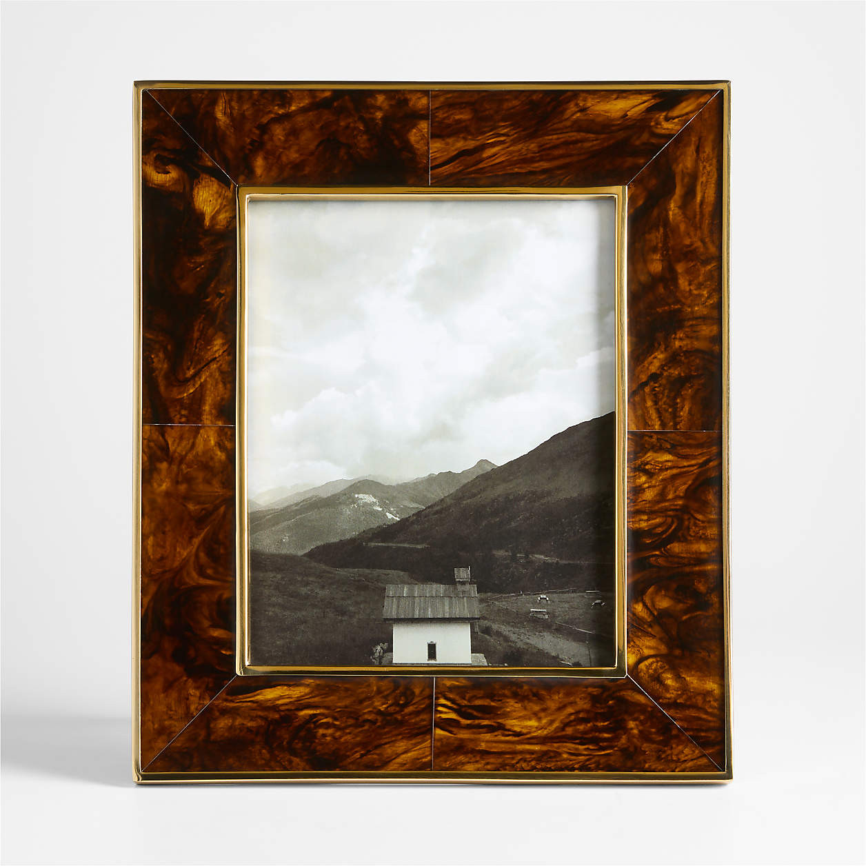 Tortoise Brass Resin 8x10 Picture Frame | Crate & Barrel | Crate & Barrel