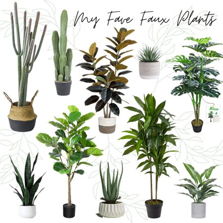 No green thumb? No problem! Here are my top 10 faux houseplants for the home. #founditonAmazon

#LTKFind #LTKhome