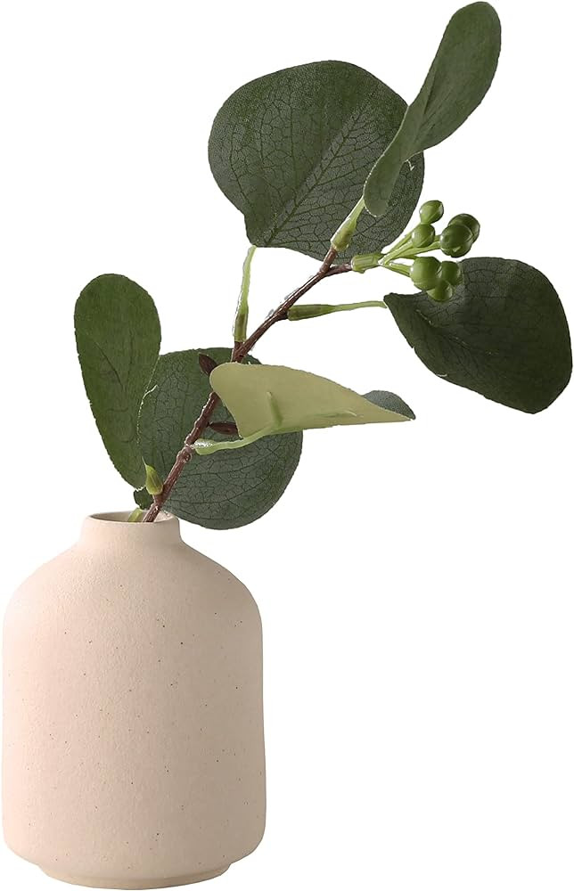 Ceramic Vase - Small Vase, Modern Minimalist Ceramic Vase, Dried Flower Vase, Home Decoration, Fl... | Amazon (US)