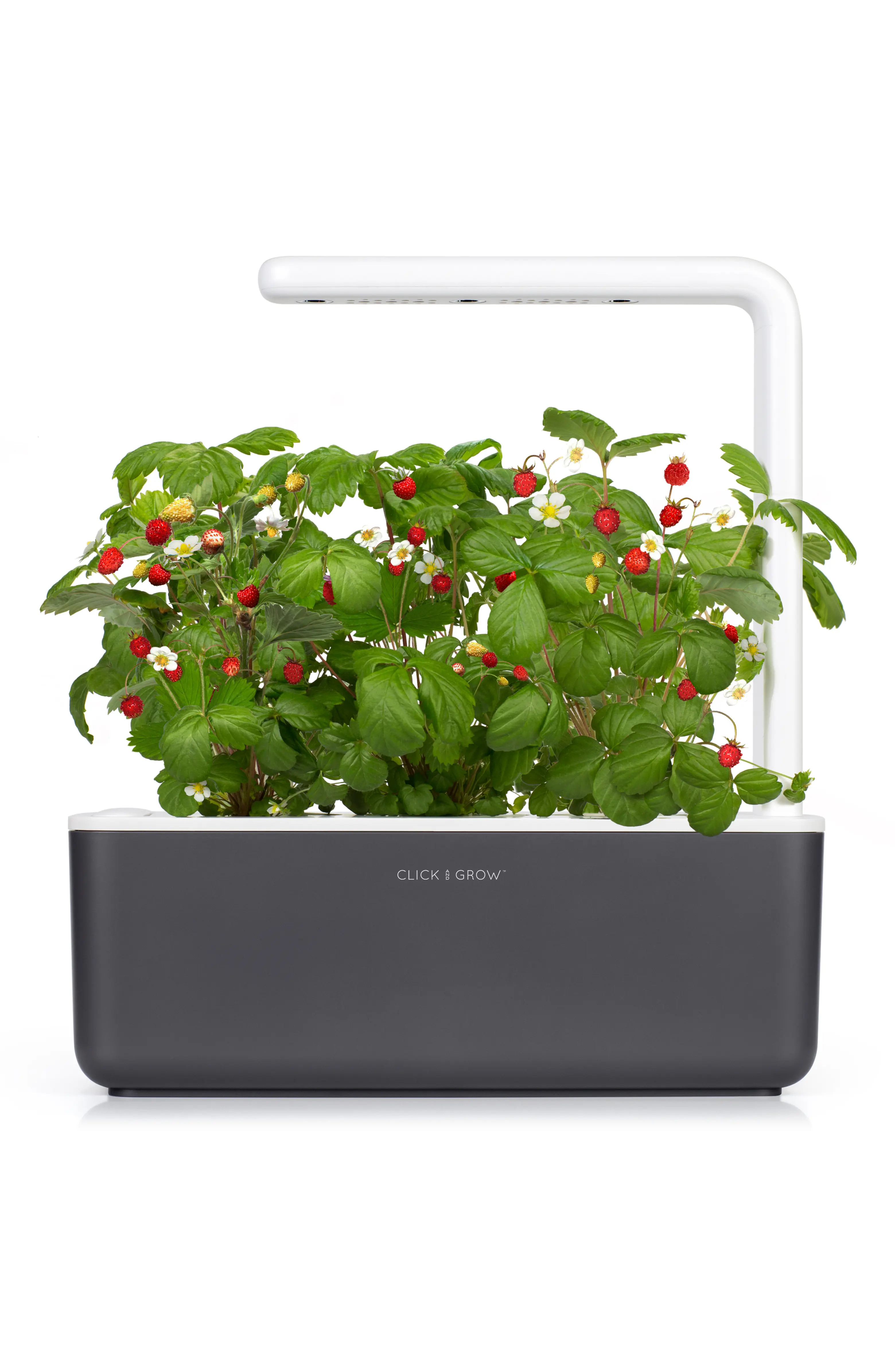 Smart Garden 3 Self Watering Indoor Garden | Nordstrom