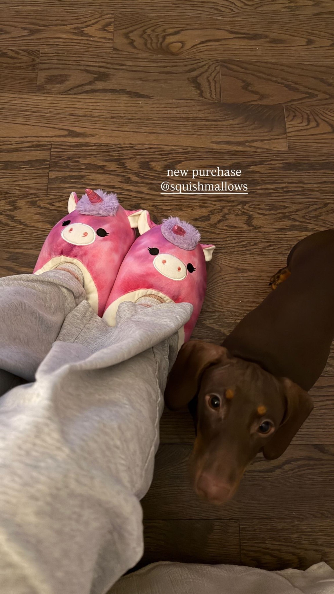 new purchase! my inner child is happy :)

#LTKShoeCrush #LTKStyleTip