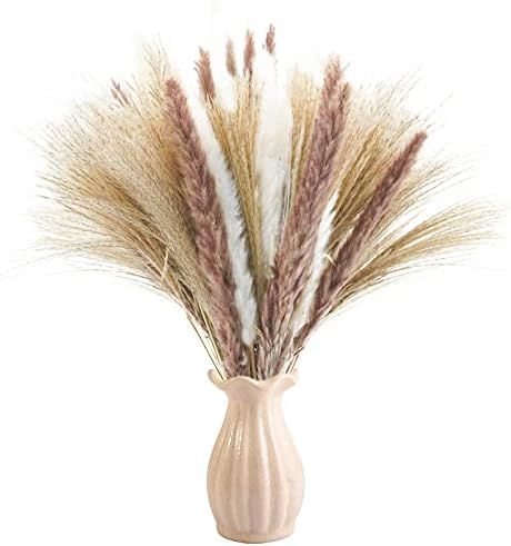 Phliofd 80 Pcs | 15 Pcs White & 15 Brown Pampas & 50 Pcs Reed Grass/ Natural Dried Pampas Grass Deco | Amazon (US)