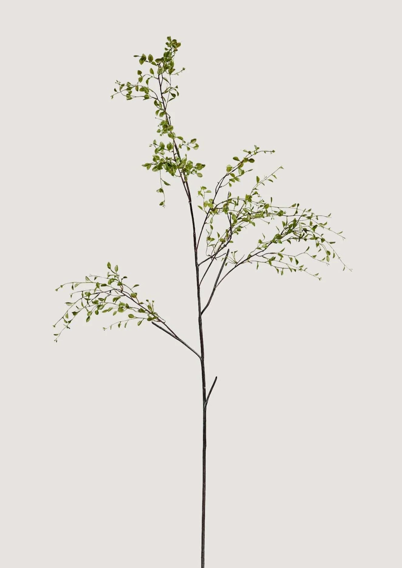 Artificial Angel Vine Foliage Branch - 39" | Afloral