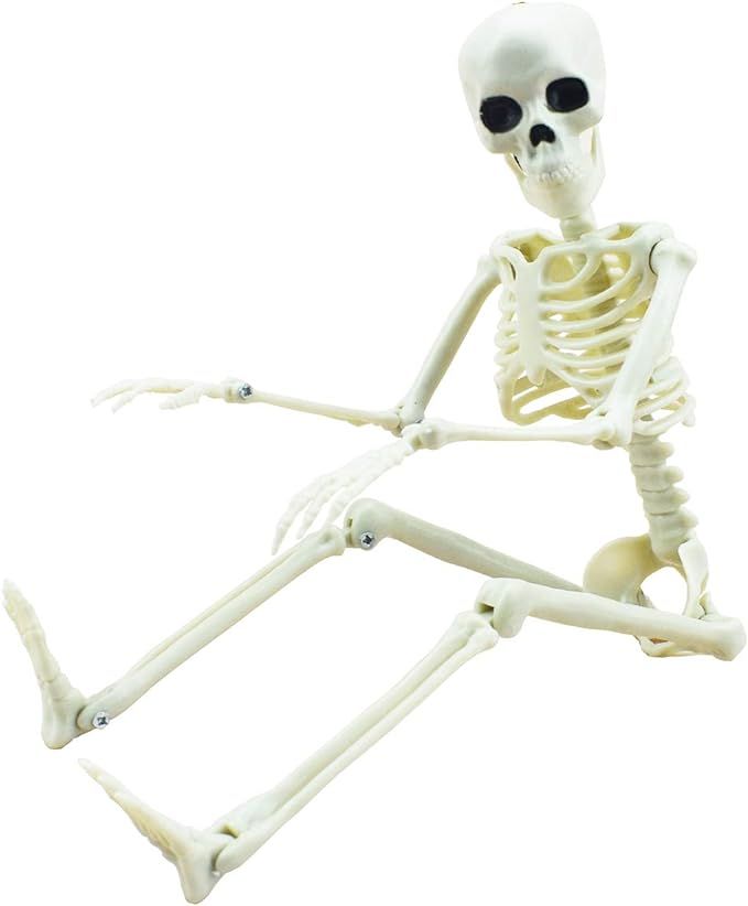 Esqueleto de Halloween de 16 pulgadas con articulaciones para decoración de casa encantada. | Amazon (US)