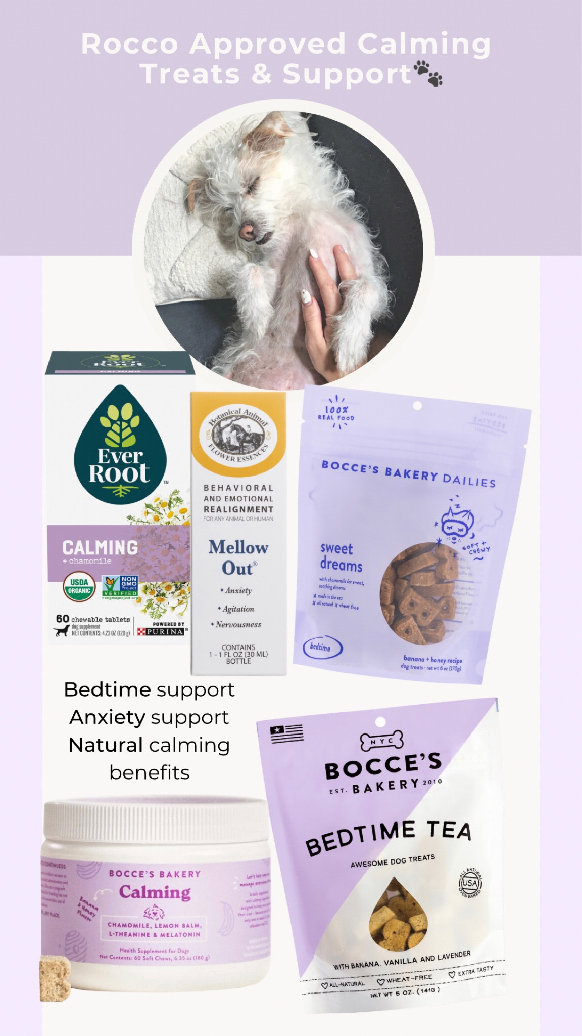 Rocco-approved & beloved staples for calming & bedtime support 💜
Tap to shop!

#LTKhome #LTKunder50 #LTKfamily