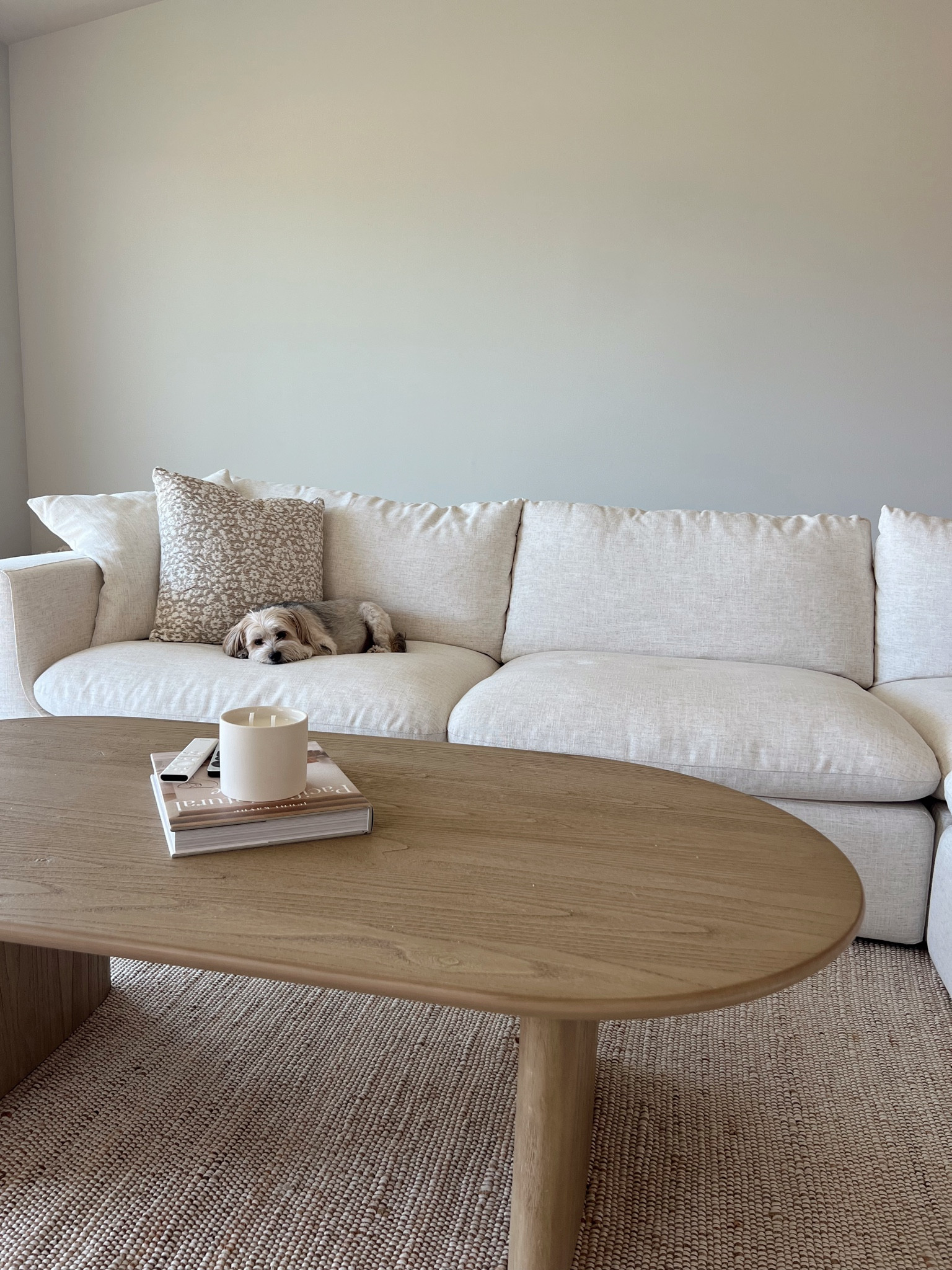 The living room is slowly coming together🏠 I think someone likes the new couch 

#LTKHome