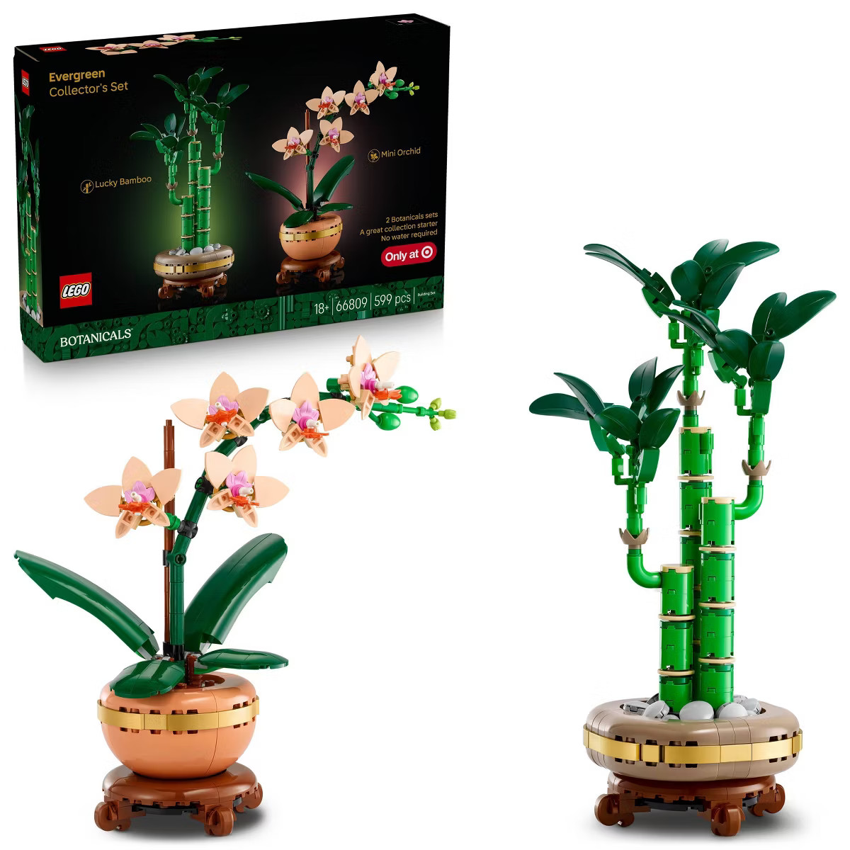 LEGO Botanicals Evergreen Collector’s Set for Gifting and Home Decor 66809 | Target