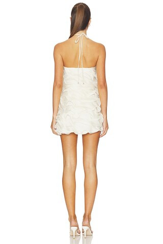 Yvette Ruffle Mini Dress
                    
                    ELLIATT | Revolve Clothing (Global)