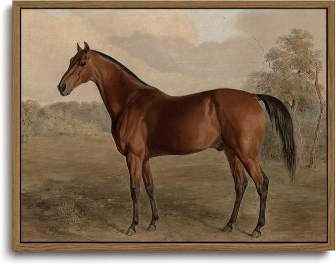 KISSFOX Framed Wall Art Vintage Wall Decor Horse Pictures Equestrian Canvas Art Retro Animal Pain... | Amazon (US)