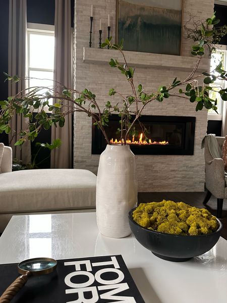 Home decor, viral stems, faux stems, vase, coffee table styling

#LTKStyleTip #LTKHome