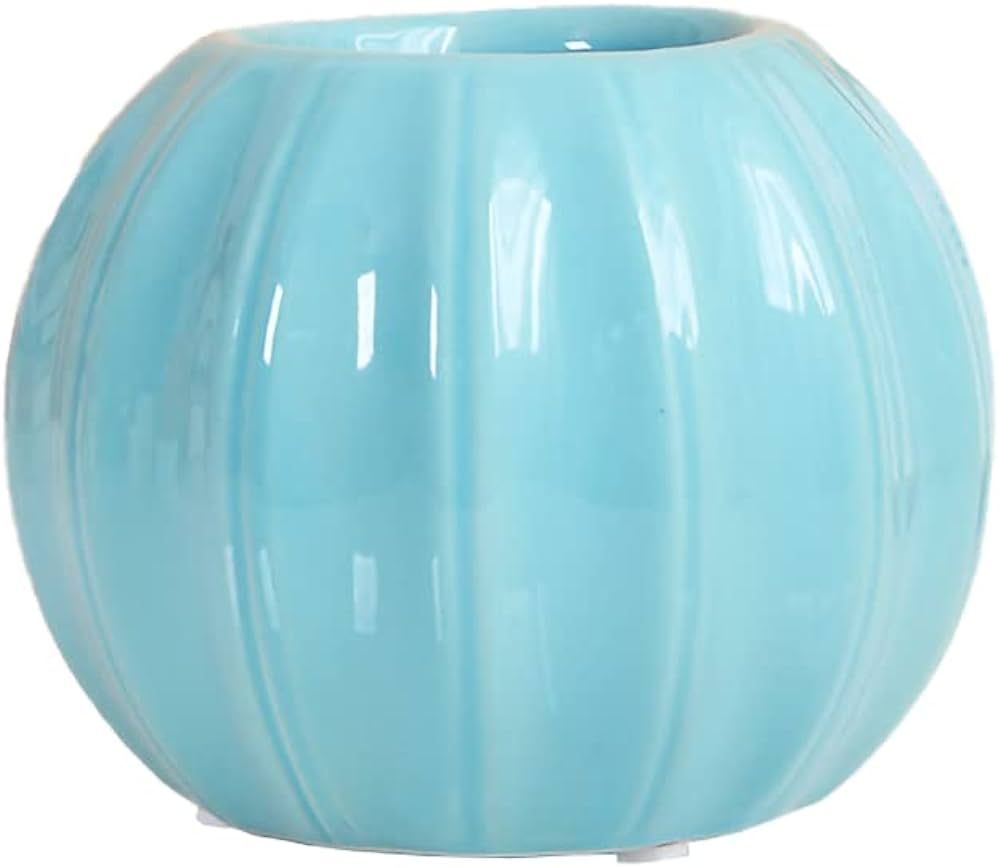 Creative Pumpkin Shape Ceramic Vase for Flower Dry Flower Hydroponic Planter Decorative Vase for ... | Amazon (US)