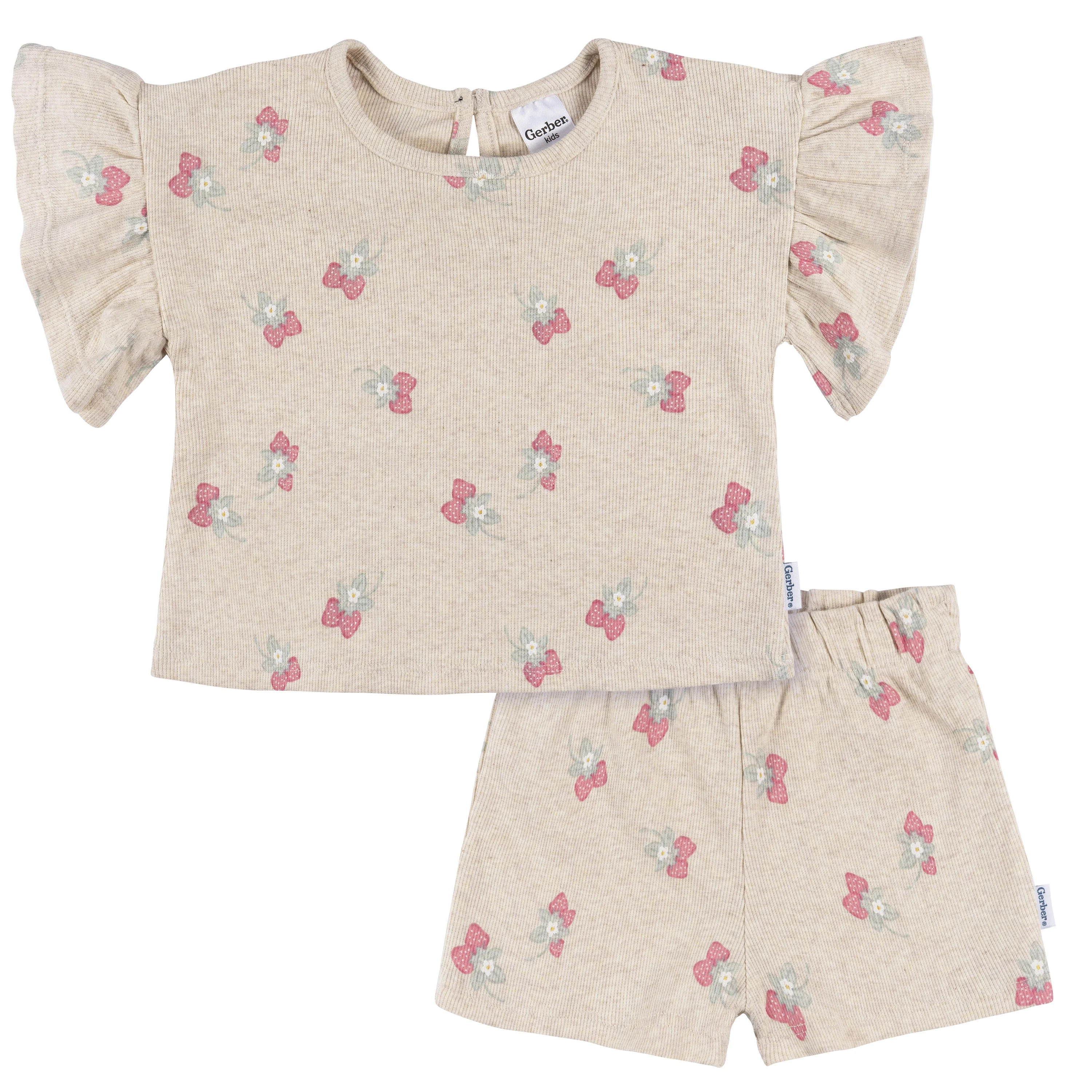 Gerber Girl Outfit Set, 2 pieces, 12 Months - 5 T | Walmart (US)