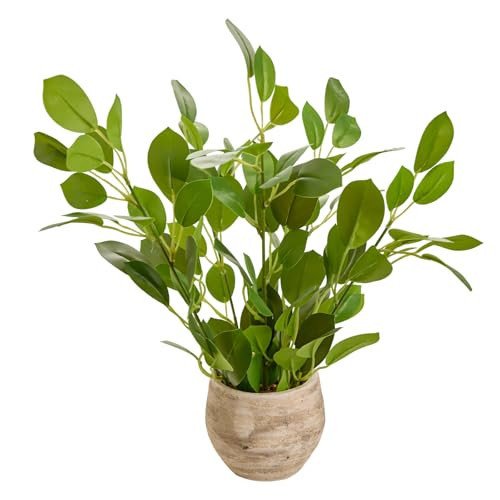 Arbolanta 17.8'' Fake Plants Lifelike Ficus Artificial Plants in Rustic Spherical Pot Realistic Looking Faux Plants for Home Kitchen Bathroom Living Room Bedroom Office Indoor Decor | Amazon (US)