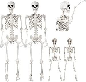 Posable Life Size Human Skeleton Family Set of 4 -2 Adult (5' 2")& 2 Children (2')-Halloween Prop... | Amazon (US)