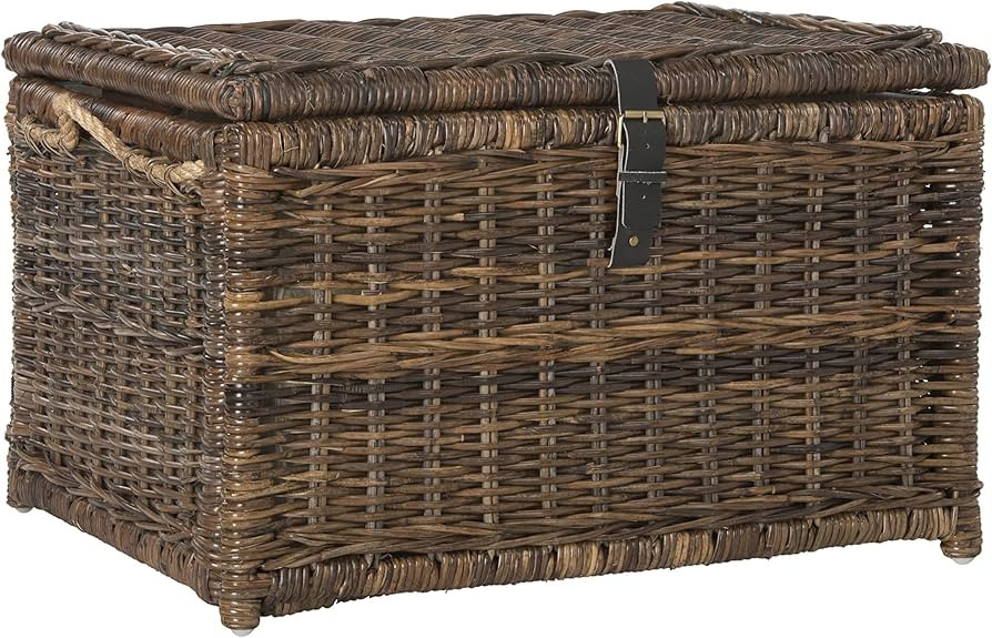 happimess HPM9001B Caden 30" Wicker Storage Trunk, Collapsible for flat storage, Rattan-Sarang Bu... | Amazon (US)