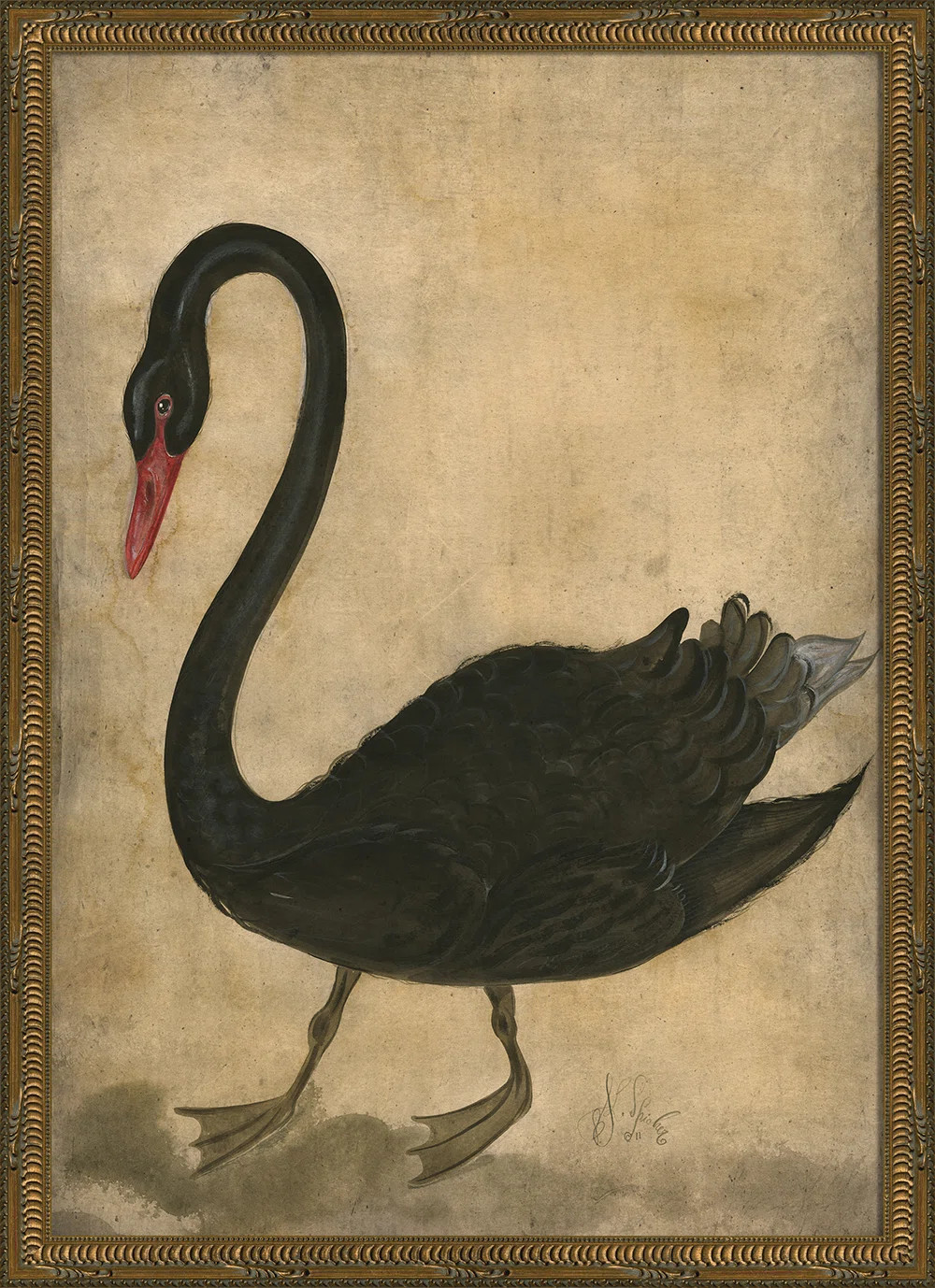 Spicher & Co Black Swan by Kolene Spicher - Painting | Wayfair | Wayfair North America