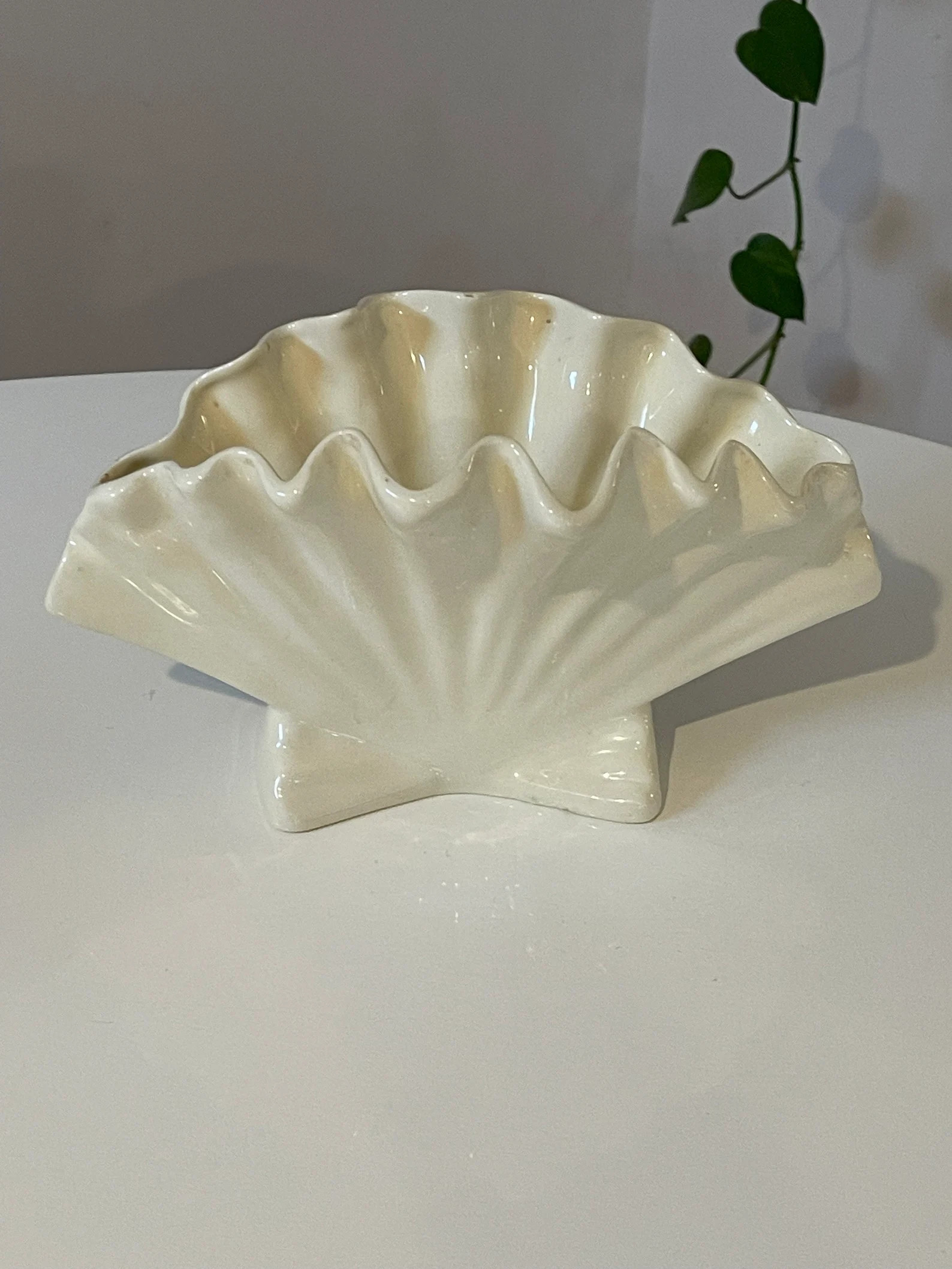 1960’s Cream Colored Seashell Fan Vase - Etsy | Etsy (US)