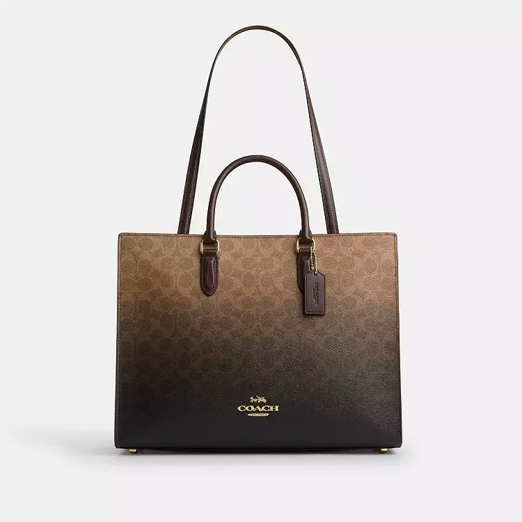 In Ombre Signature Canvas | Coach (US)