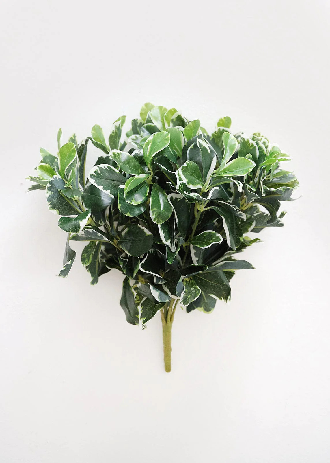 UV Treated Indoor/Outdoor Baby Schefflera Plant - 16.5" | Afloral