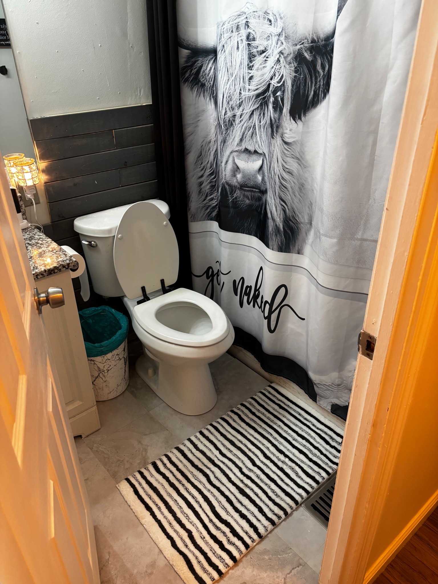 Bathroom remodel loading ⏳
