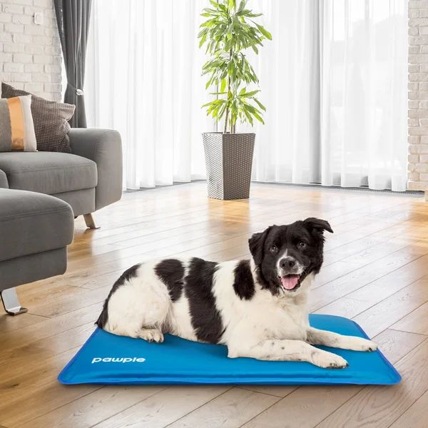 Pawple Self Cooling Pet Mat Pet Pad For Kennels, Crates And Beds, Thick Foam Base 17x 24 | Wayfair North America