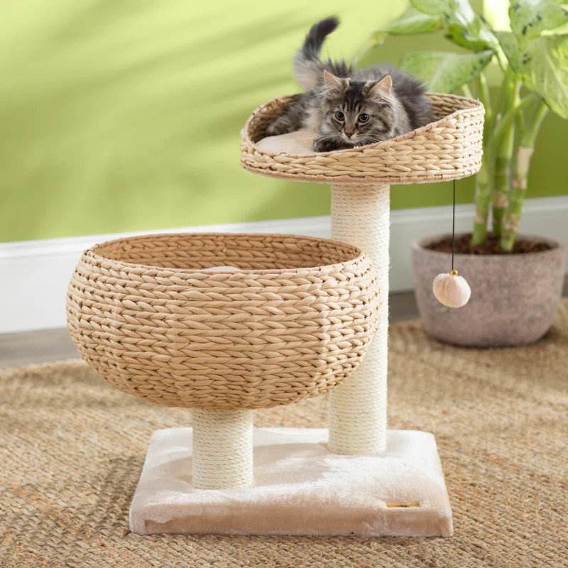 Nolette Cat Perch | Wayfair North America