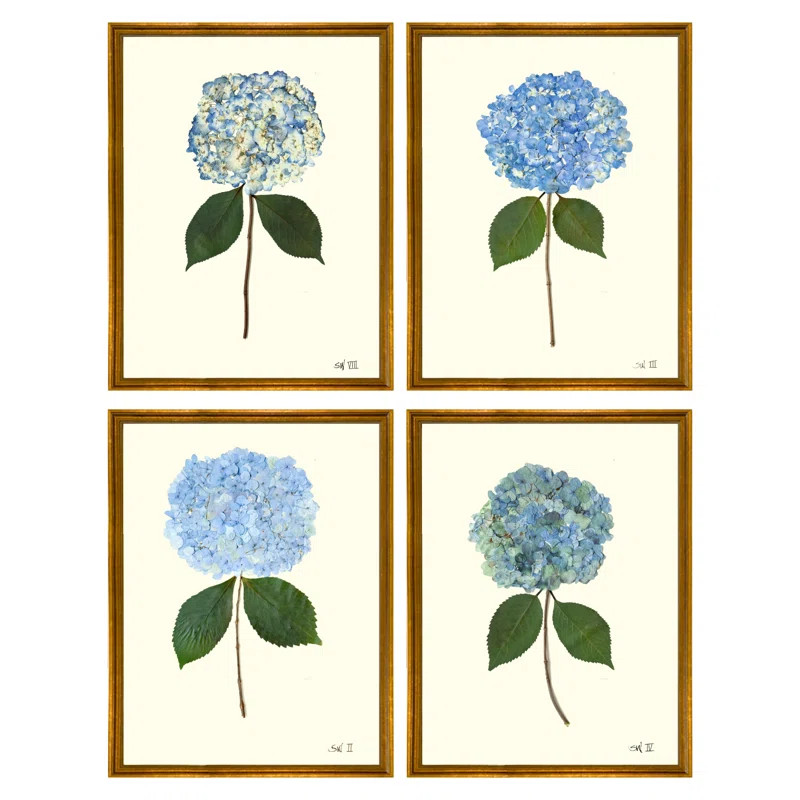 Set Of Pressed Hydrangea Giclees | Wayfair North America