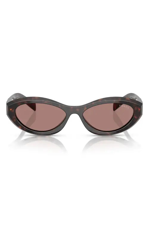 Prada 56mm Oval Sunglasses in Brown Tortoise at Nordstrom | Nordstrom