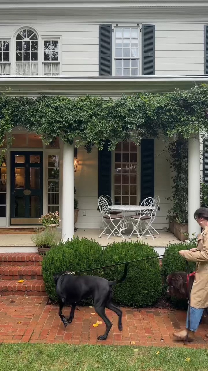 Dog Entryway 🐾

#LTKHome