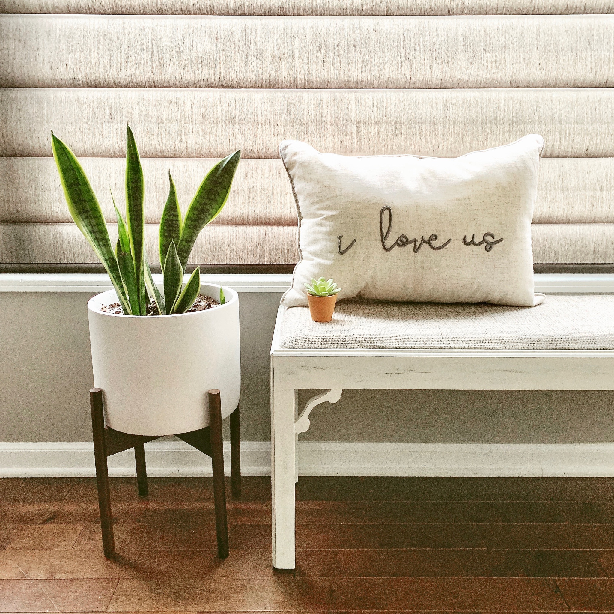 I love us ❤️
This pillow is one my favorites to style in different spots in my home. 
Do you like words in your decor???

#livingroom #livingroomdecor #livingroomstyle #homedecor #pillows #interiors #interiordesign

#LTKfamily #LTKunder50 #LTKhome