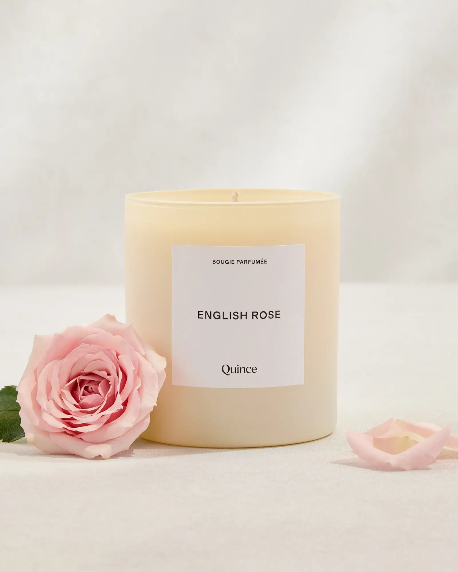 English Rose Candle | Quince