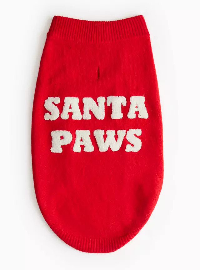 Matching Family Santa Paws Slogan Red Christmas Dog Jumper L | Tu Clothing