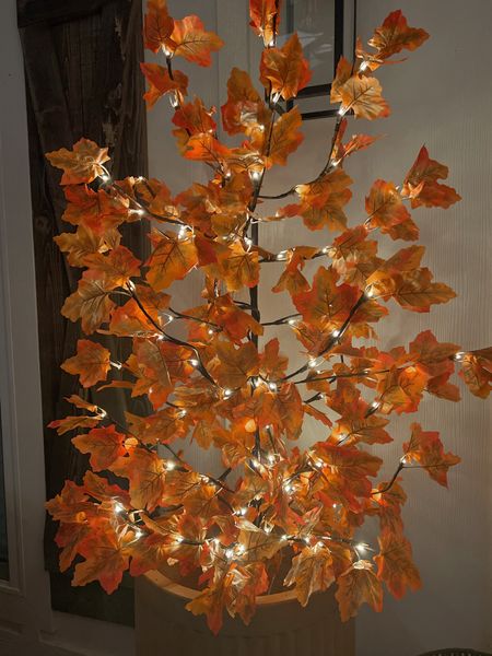 These are an absolute FAVE from last year — my amazon light up / twinkling autumn trees! 🍁🍂💡they’re so pretty & work indoor / outdoor! 10/10 suggest. 

Fall decor / patio inspo / home / 

#LTKHoliday #LTKSeasonal #LTKhome