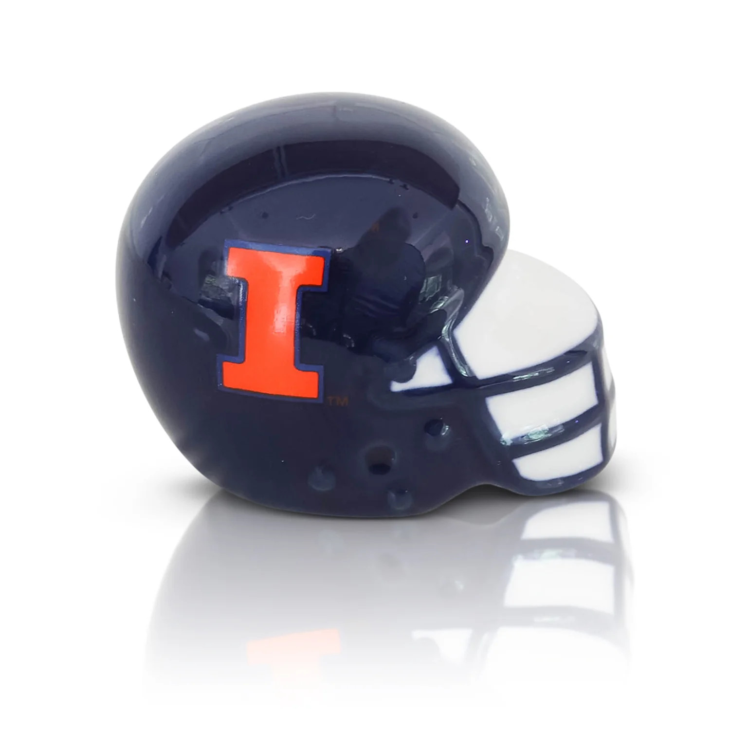 University of Illinois helmet | nora fleming